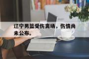 开云(中国)官方在线登录-辽宁男篮受伤离场，伤情尚未公布。