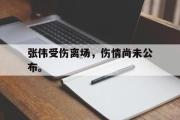 开云(中国)官方在线登录-张伟受伤离场，伤情尚未公布。