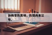 开云网页版-孙杨受伤离场，伤情尚未公布。