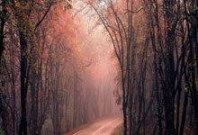 开云(中国)官方在线登录-TheShy意外战胜美国队，大比分获胜引爆全场！